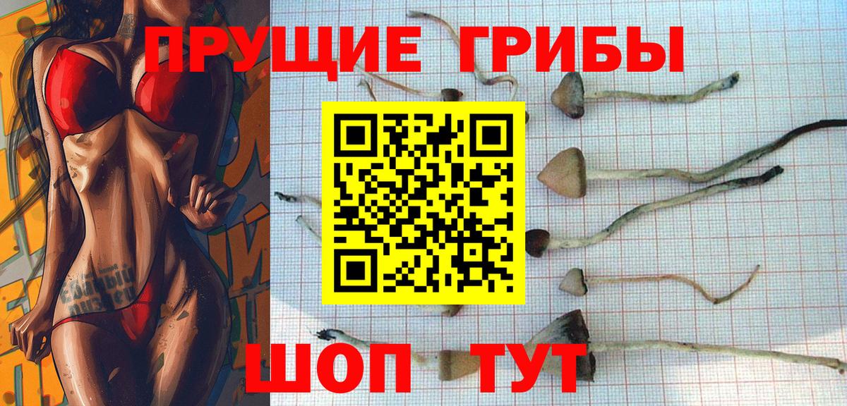 Галлюциногенные грибы прущие грибы Ростов Великий